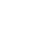 Infographic Icon